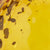 Amber glass vase