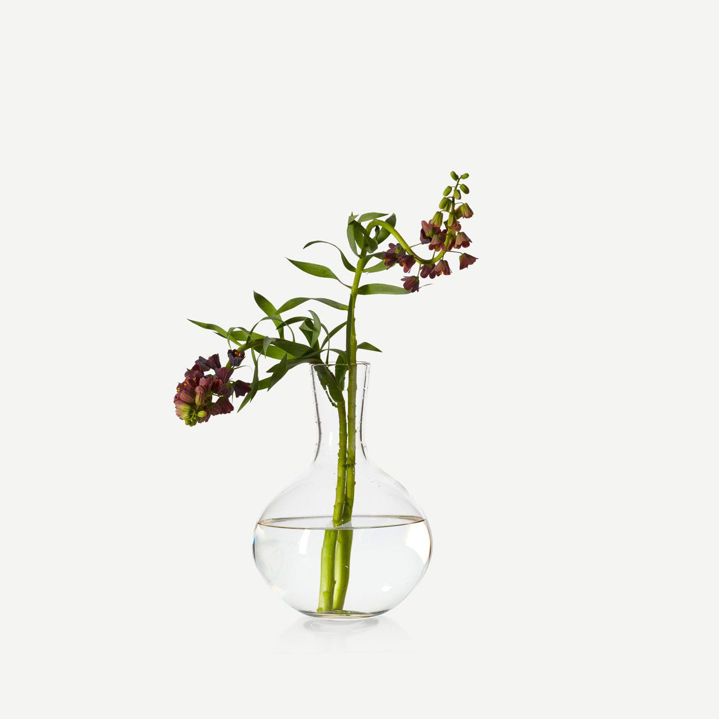modern roman handblown glass vase with flowers